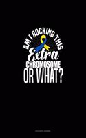 Am I Rockin' This Extra Chromosome Or What?: Accounts Journal