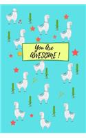 You Are Awesome