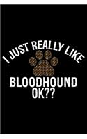 I Just Really Like Bloodhound Ok?: Cool Bloodhound Dog Journal Notebook - Bloodhound Puppy Lover Gifts - Funny Bloodhound Dog Notebook - Bloodhound Owner Gifts - Bloodhound Dad & Mom 