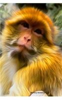 Monkey Notebook