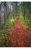 My Morning Walk in an Autumn Wood Journal