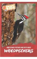 Unbelievable Pictures and Facts About Woodpeckers