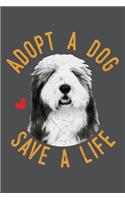 Adopt A Dog Save A Life