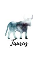 Taurus: Taurus Sketch Book