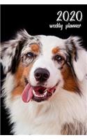 2020 Weekly Planner: 6x9 In. Australian Shepherd 52 Weekly Calendar Schedule Organizer Appointment Journal Notebook for Dog Fans