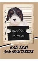 Bad Dog Sealyham Terrier