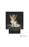 El Milagro De Sheba