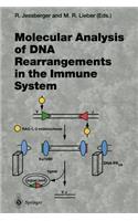 Molecular Analysis of DNA Rearrangements in the Immune System