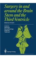 Surgery in and around the Brain Stem and the Third Ventricle