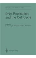DNA Replication and the Cell Cycle