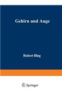 Gehirn und Auge