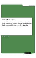 Josef Winklers 'Natura Morta'. Literarisches Stillleben und Leitmotive der Novelle