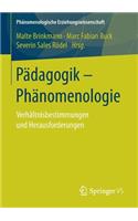 Pädagogik - Phänomenologie