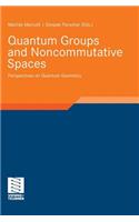 Quantum Groups and Noncommutative Spaces: Perspectives on Quantum Geometry