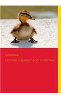 Entchen Tollpatsch vom Bodensee