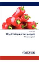 Elite Ethiopian Hot Pepper