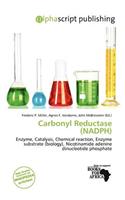 Carbonyl Reductase (Nadph): (English)