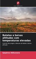 Batatas a baixas altitudes com temperaturas elevadas