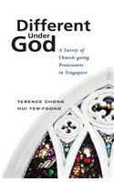 Different Under God: A Survey of Church-Going Protestants in Singapore