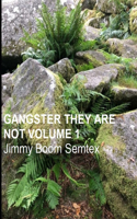 Gangster They Are Not Volume 1