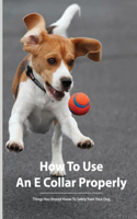 How To Use An E Collar Properly- Things You Should Know To Safely Train Your Dog