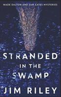 Stranded In The Swamp: Clear Print Edition