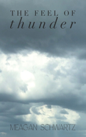 The Feel of Thunder: (2 Through the Storm)