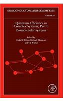 Quantum Efficiency in Complex Systems, Part I