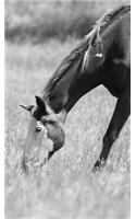 Petite Equine Journal: Equine Themed Journal or Notebook