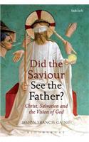 Did the Saviour See the Father?