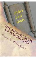 missing Book of Possibilities