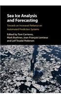 Sea Ice Analysis and Forecasting
