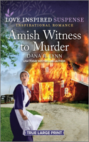 Amish Witness to Murder