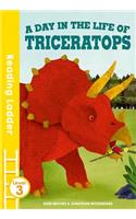 Day in the Life of Triceratops