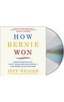 How Bernie Won