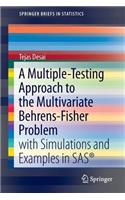 A Multiple-Testing Approach to the Multivariate Behrens-Fisher Problem