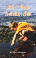 Myview Literacy 2020 Leveled Reader Grade K: At the Seaside