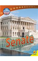 Senate: (U.S. Government)