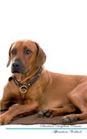 Rhodesian Ridgeback Affirmations Workbook Rhodesian Ridgeback Presents: Positive and Loving Affirmations Workbook. Includes: Mentoring Questions, Guidance, Supporting You.
