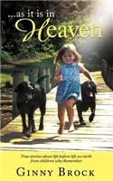 ...as it is in Heaven: True Stories of Life Before Life From Children Who Remember(English)