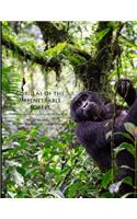 Gorillas of the Impenetrable Forest