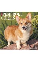 Just Pembroke Corgis 2020 Wall Calendar (Dog Breed Calendar)