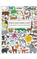Where Does Rabbit Live?