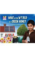 What in the World Is a Green Home?