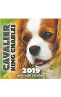 Cavalier King Charles 2019 Mini Wall Calendar