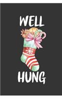 Well Hung Dirty Christmas Stocking Holiday Gift