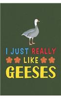 I Just Really Like Geeses
