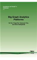 Big Graph Analytics Platforms