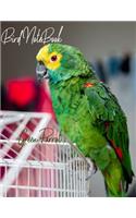 Bird Notebook (Green Parrot)