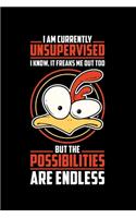 I Am Currently Unsupervised: A Journal, Notepad, or Diary to write down your thoughts. - 120 Page - 6x9 - College Ruled Journal - Writing Book, Personal Writing Space, Doodle, N